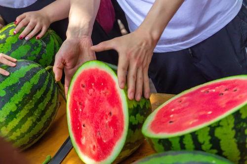 长春学校教室吃瓜,瓜果飘香学习时光