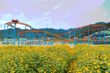 英山的网红排名,揭秘热门网红背后的故事