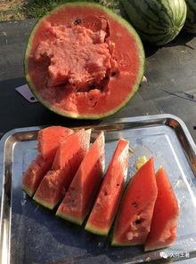 永年网红吃瓜,揭秘网络热点背后的故事