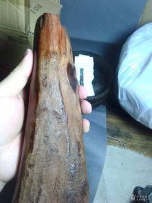 实心玉竹老料怎么看,岁月沉淀下的珍贵之美