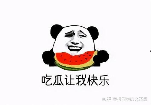 偷看吃瓜的文案搞笑,笑料连连，吃瓜群众欢乐多