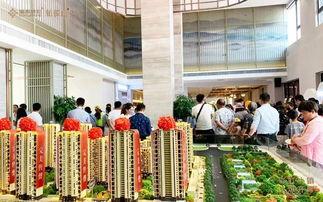 许昌网红打卡地图片全景,探寻古都新风尚的美丽瞬间