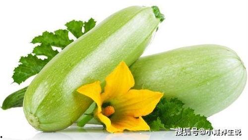 白瓜有点苦宝宝吃,探索营养与美味的平衡之道
