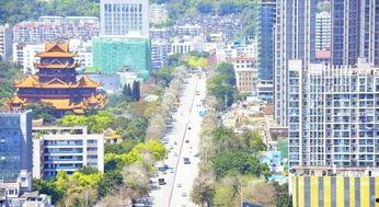 锦业二路网红,网红打卡地，繁华都市新地标