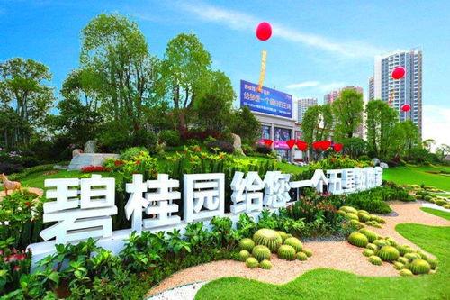 址山碧桂园爆料最新消息,揭秘项目进展与未来规划”