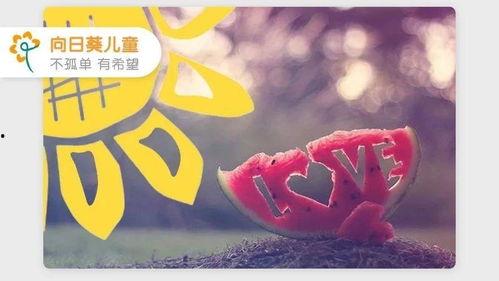火热的夏天吃瓜群众,吃瓜群众的欢乐时光
