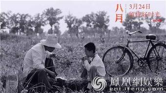 吃瓜雷人,网络红人的崛起与争议