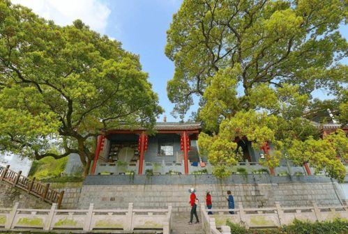 慈溪网红街道在哪里,探寻这座城市的时尚新地标