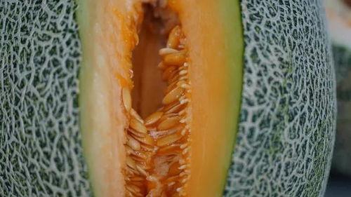 吃瓜无码久久久