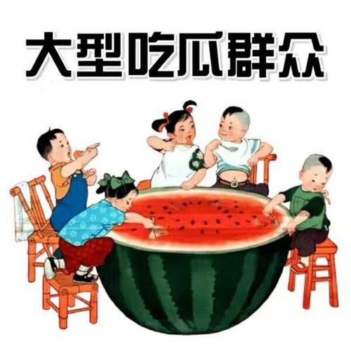 众排吃瓜小说,揭秘娱乐圈背后的秘密风云
