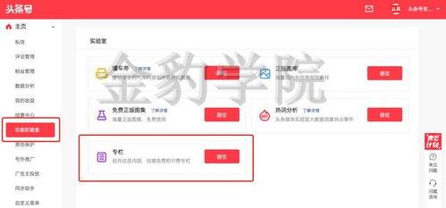 在头条上怎么申请专栏,轻松开启你的内容创作之旅