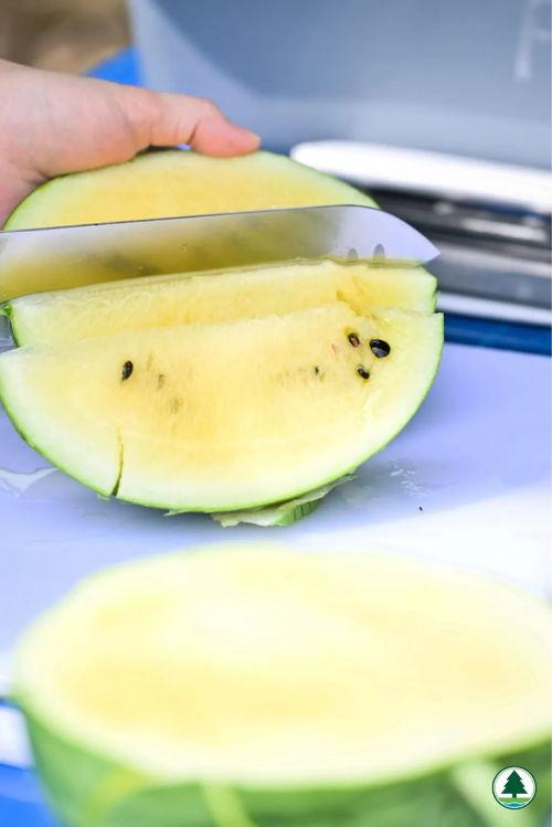 本月吃瓜,盘点娱乐圈的甜蜜与苦涩