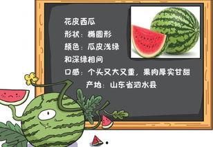 吃瓜的语文阅读