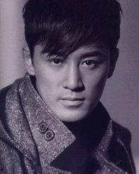 深圳最富17个明星,揭秘最富17位明星的财富传奇”