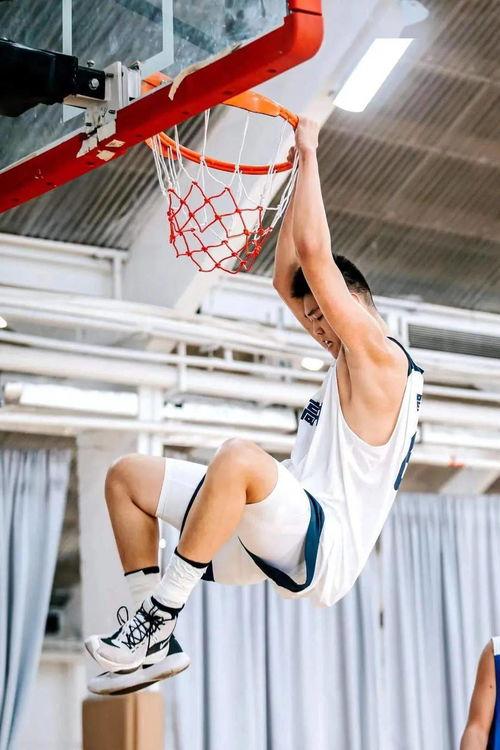 大沥网红球场在哪里,揭秘热门运动圣地