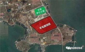 红岛高新区网,创新驱动发展，打造青岛科技新引擎