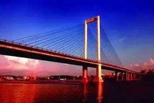 驻马店大桥村新闻头条,乡村振兴新篇章，绿色发展谱新篇