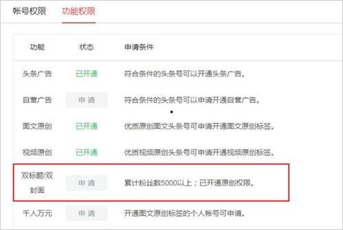 头条都是怎么设置名字,揭秘如何设置吸睛名字，轻松吸引读者眼球