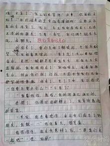 小作文给明星写