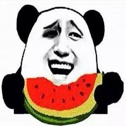 微信群吃瓜头像,揭秘网络社交的趣味与争议