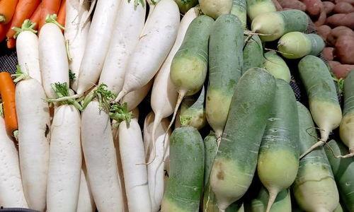 瓜和茄子怎么吃最好,这样做最营养健康