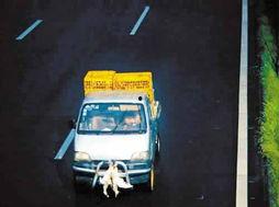 囚禁车头条文章,揭秘囚禁车背后的黑暗真相