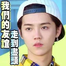 吃瓜娱乐间真假,真假吃瓜，真相大白